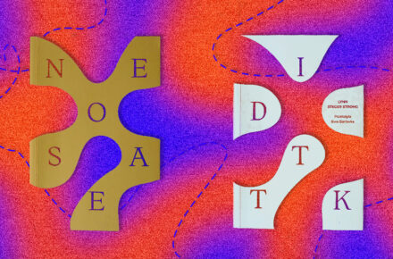 Zdekonstruowana okładka książki Niedostatek