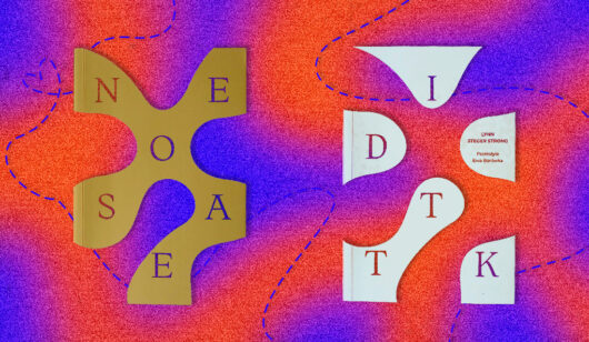 Zdekonstruowana okładka książki Niedostatek